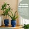 Glitzhome® 16.75" Cobalt Blue Faux Ceramic Urn Plastic Planters, 2ct.